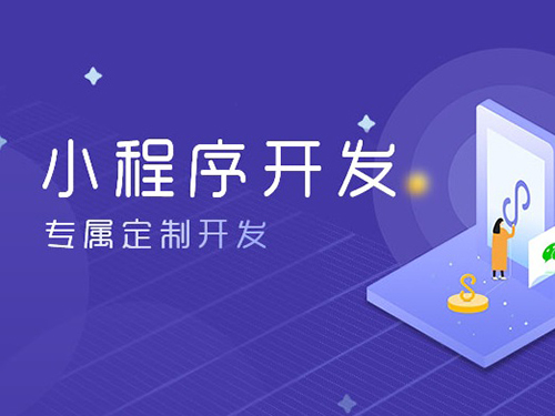 小程序開發,上海專業小程序開發公司